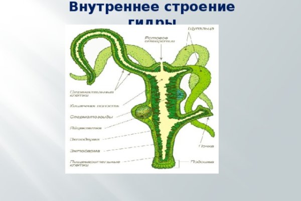 Кракен kr2web in